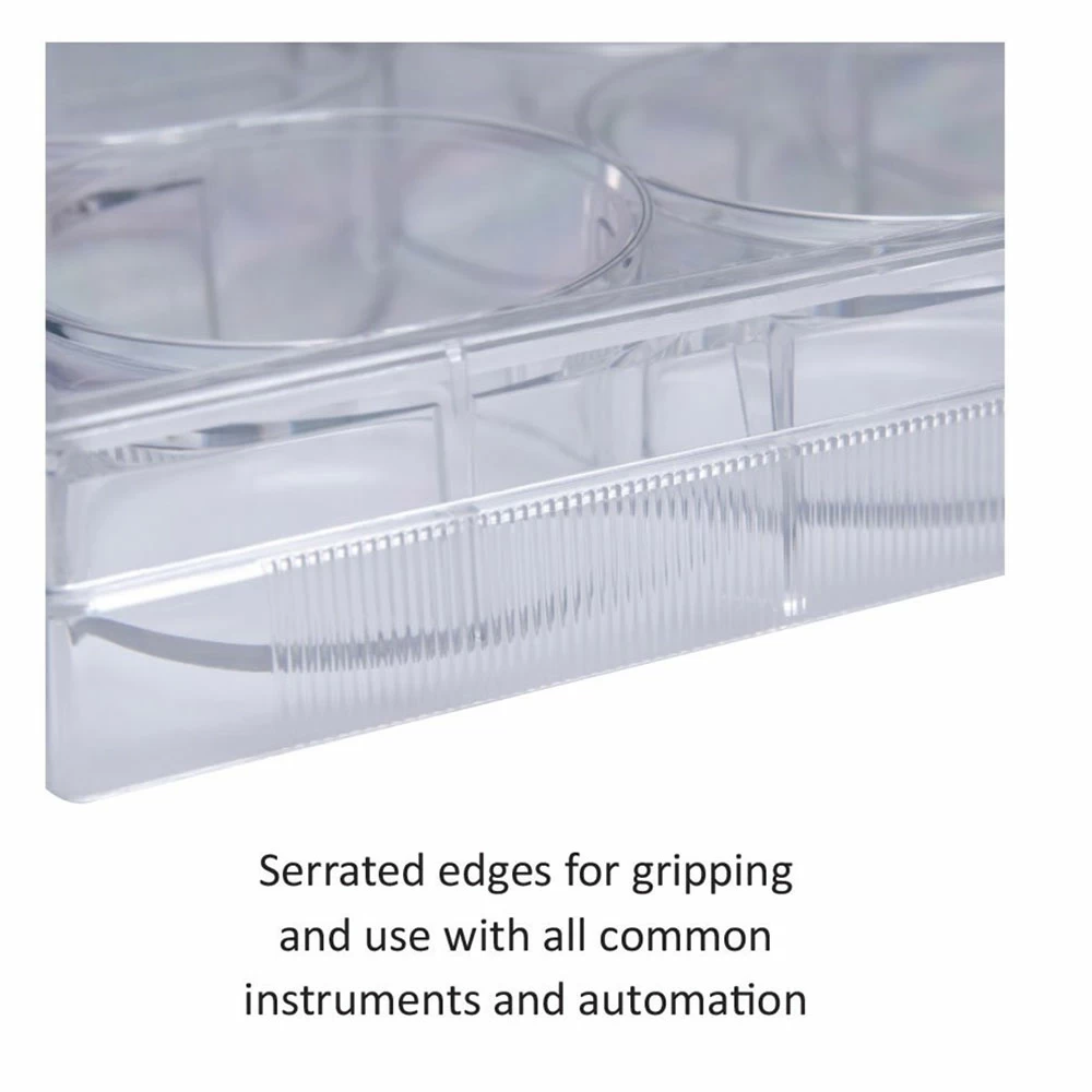 GenClone 25-109MP,  Sterile, Flat Bottom Wells, 5 per Sleeve, 100 Plates/Unit quaternary image