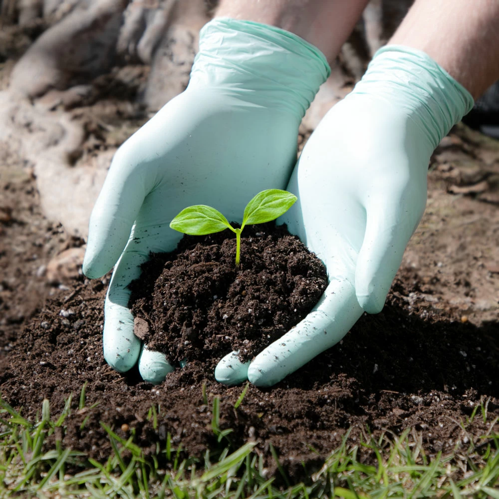 Guantes de Nitrilo Biodegradables Verde S x 10 Machtig